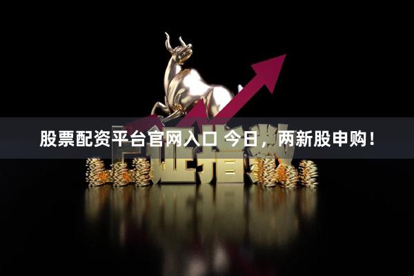 股票配资平台官网入口 今日，两新股申购！